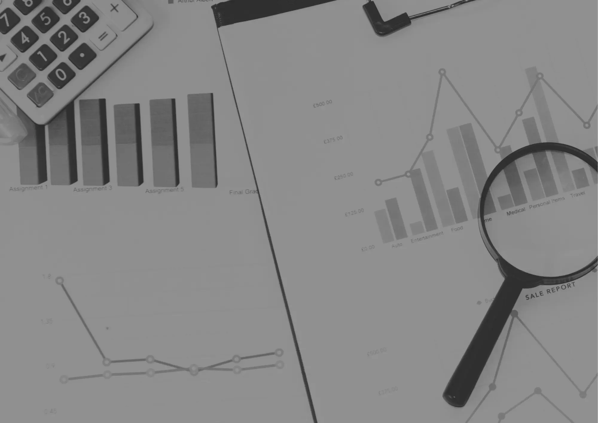 focus aziendale toffoli